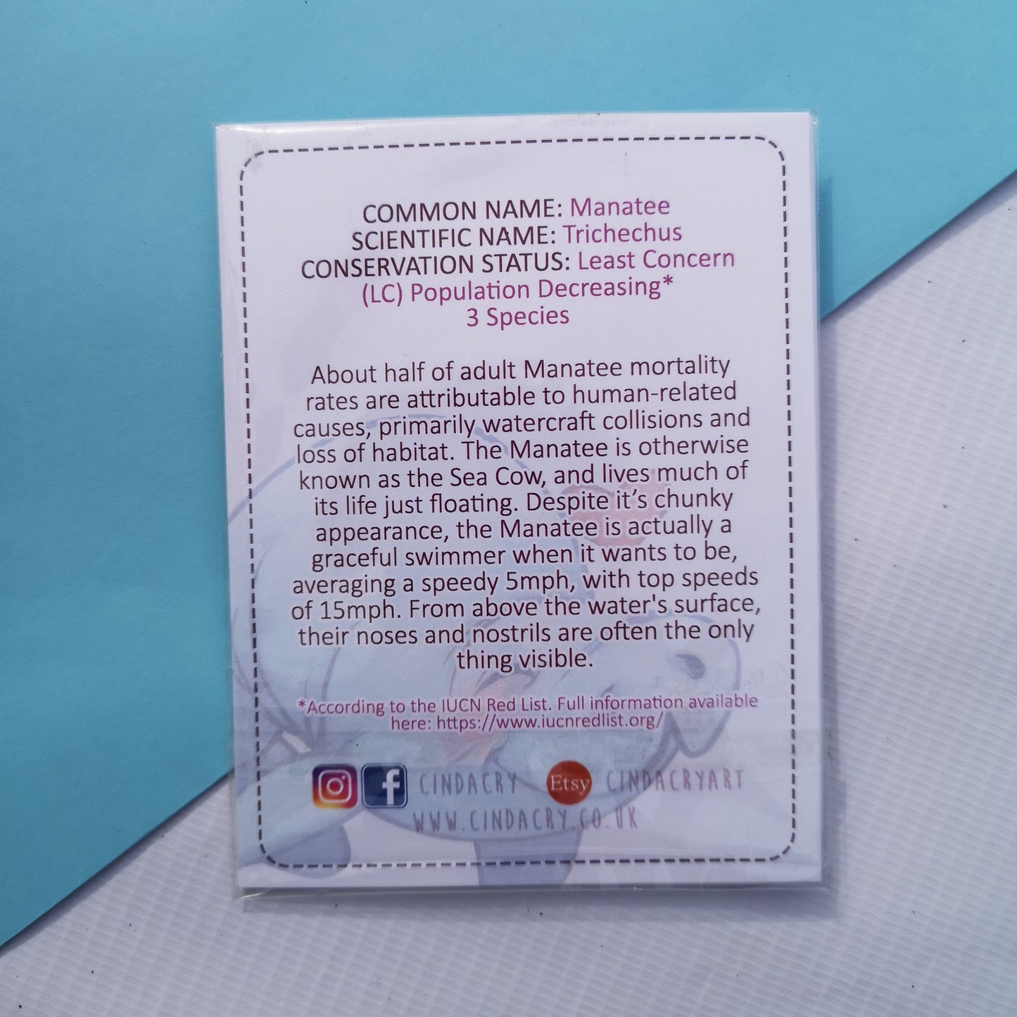 Boucles d'oreilles pendantes en forme de vache de mer lamantin | Boucles d'oreilles pendantes mignonnes